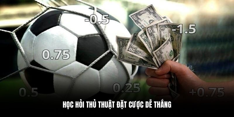 Học hỏi thủ thuật đặt cược dễ thắng