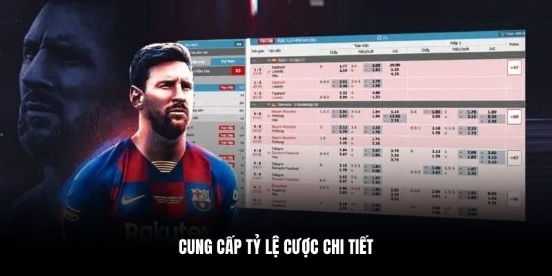 Cung cấp tỷ lệ cược chi tiết