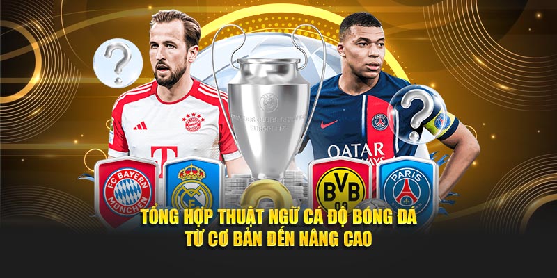 Tổng Hợp Thuật Ngữ Cá Độ Bóng Đá Từ Cơ Bản Đến Nâng Cao